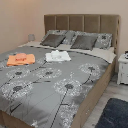 Apartament Milivojevic Sokobanja