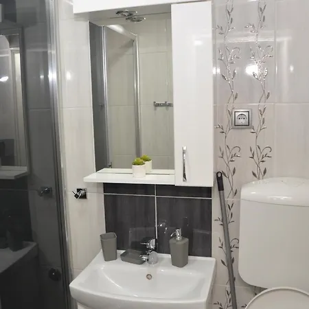 Milivojevic Apartament Sokobanja