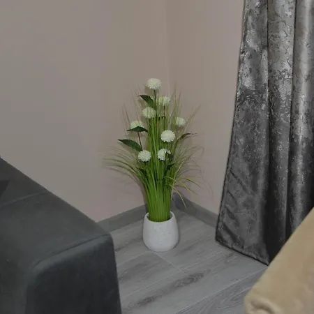 Milivojevic Apartament Sokobanja
