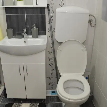 Apartament Milivojevic Sokobanja