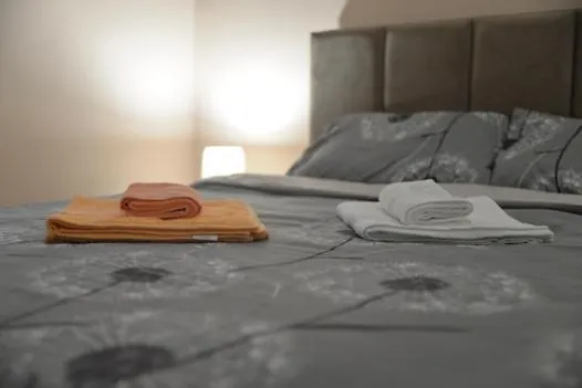 Milivojevic 소코 반자