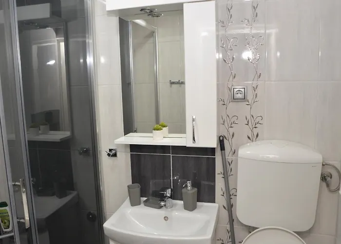 Milivojevic 아파트 소코 반자