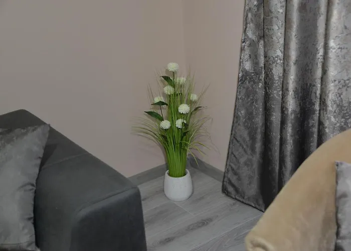 Milivojevic 아파트 소코 반자