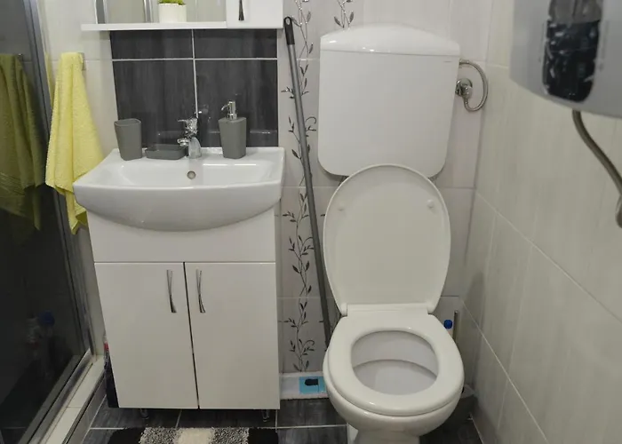 아파트 Milivojevic 소코 반자