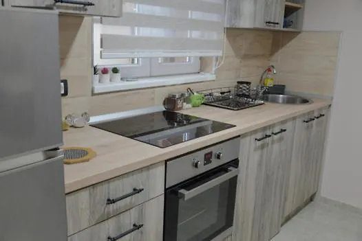 Milivojevic 아파트 소코 반자