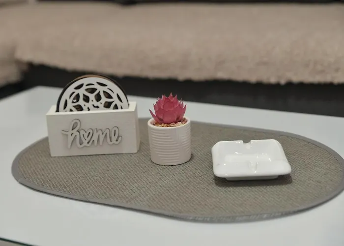 Milivojevic 소코 반자