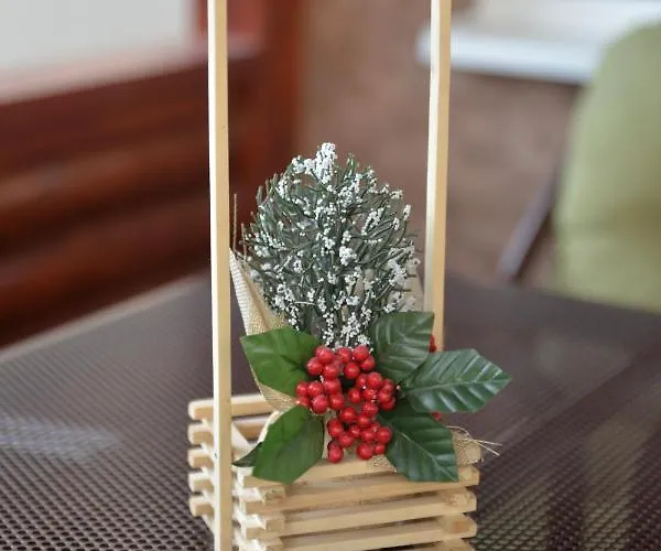 Milivojevic * 소코 반자