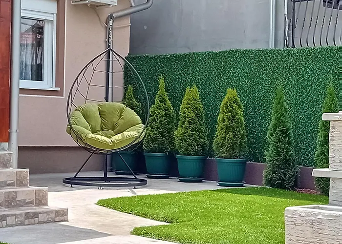 Milivojevic 소코 반자